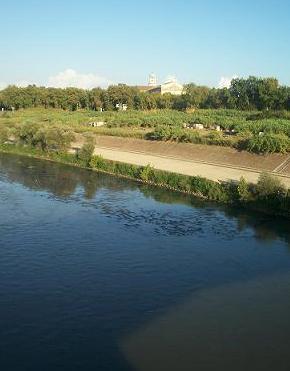 Il Tevere da Ponte Marconi.